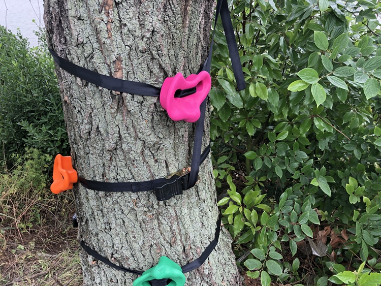 out door 12Pcs Kids Obstacle Course Training Tree Climbing Holds with 6 Ratchet Straps