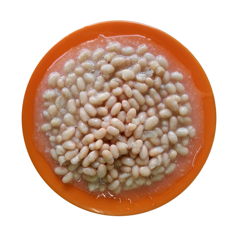 Testy salty canned white kidney beans